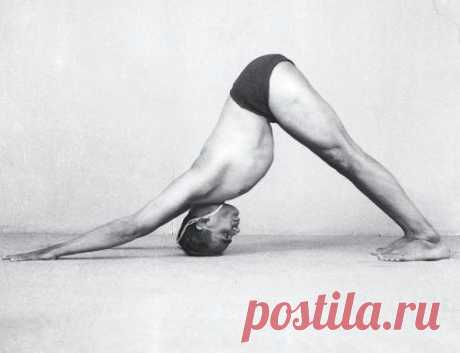 Адхо Мукха Шванасана - Энциклопедия асан - Энциклопедия йоги - YOGA.RU