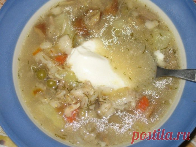 Сытная казацкая солянка  мясная с грибами.