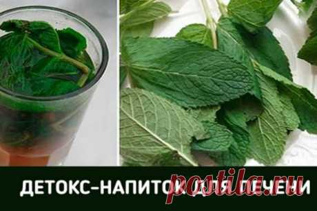 Натуральный напиток для обновления печени Употребление  полуфабрикатов, жирной, рафинированной еды, лекарственных препаратов и алкоголя негативно сказывается на здоровье печени. И даже если сейчас