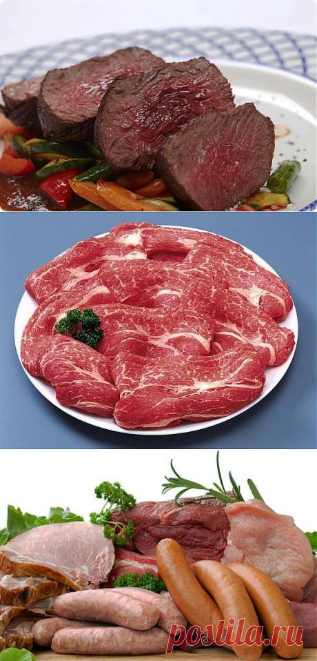 (+1) тема - Чем заменить мясо в рационе? | Среда обитания