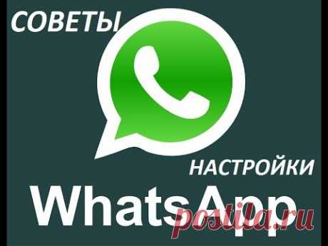 5  настроек   WhatsApp о которых Вы не знали