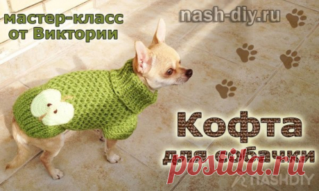Вязаная кофта для собачки спицами
