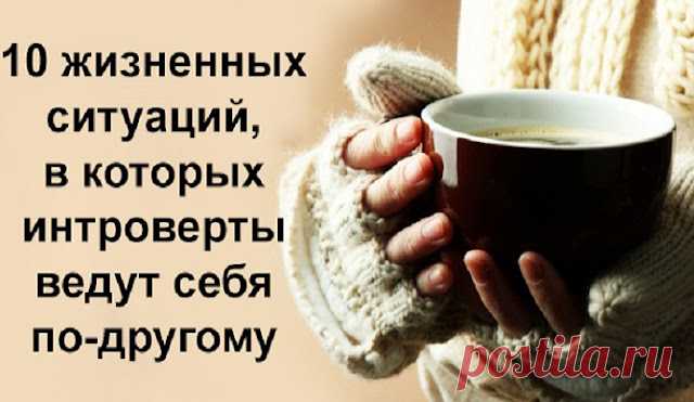 10 жизненных ситуаций, в которых интроверты ведут себя по-другому
  10 жизненных ситуаций, в которых интроверты ведут себя по-другому Иногда интроверта можно не отличить от экстраверта. Все потому, что свои наклонности эти типы личности проявляют в определенных ситуациях. Мозг каждого из них с разной интенсивностью реагирует на одни и те же возбудители. Любая мелочь может сильно возбудить нервную систему интроверта, в то время как […]
Читай пост далее на сайте. Жми ⏫ссылку выше