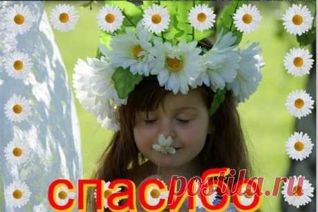 Фото СПАСИБО!. Альбом БЛАГОДАРНОСТИ - 50 фото. Фотографии zoja simonova.