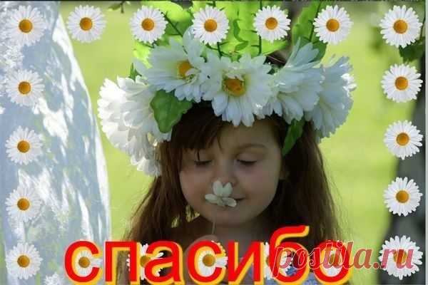 Фото СПАСИБО!. Альбом БЛАГОДАРНОСТИ - 50 фото. Фотографии zoja simonova.