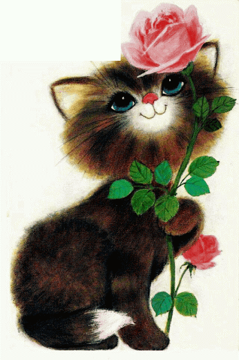 felinos mi pasión😺 – Google+