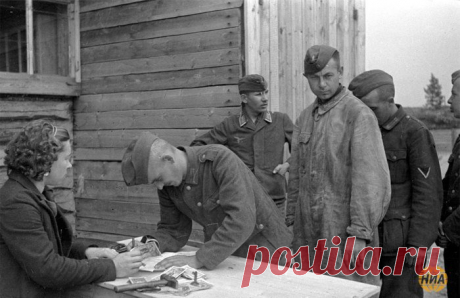 Чем удивила фашистов  &quot;низшая раса&quot; людей, проживающих в СССР