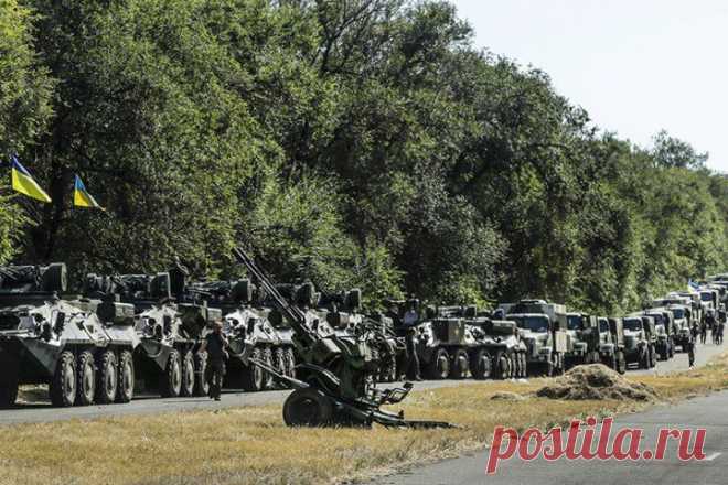 Азовский фронт: ополченцы теснят украинскую армию :: Фоторепортажи :: Top.rbc.ru