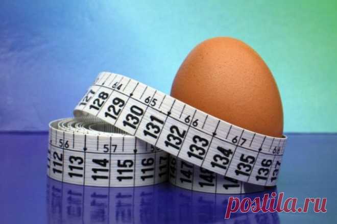 Голодать не придется!!! Яичная диета для срочного похудения | Диеты со всего света