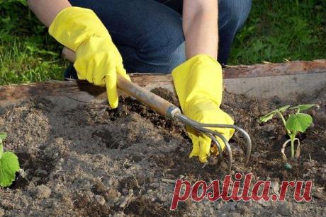 Как меньше гнуть спину на даче?