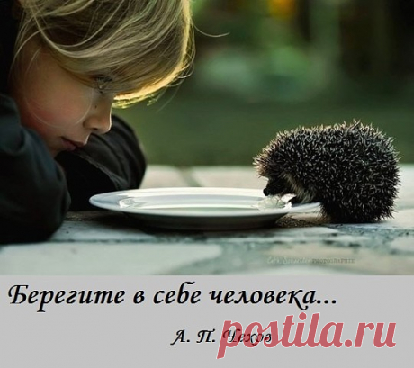 image (540×480)