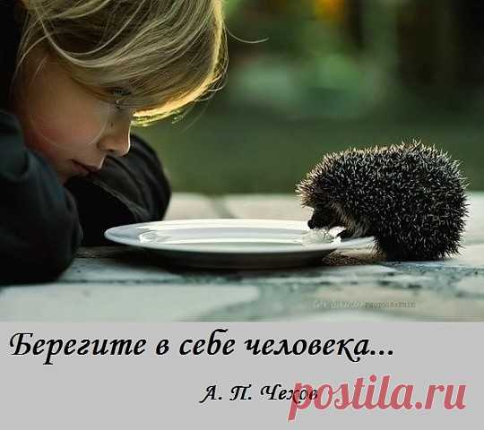 image (540×480)