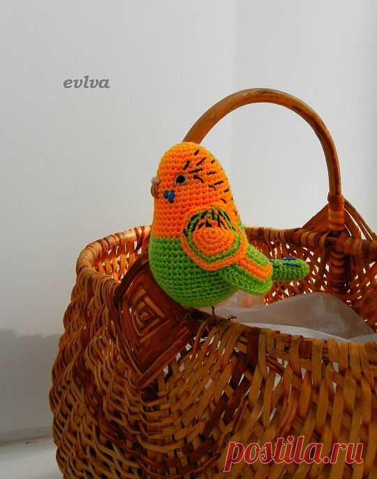 Волнистый попугайчик связанный крючком , - статьи, мастер-классы, заметки, схемы, вопросы и ответы