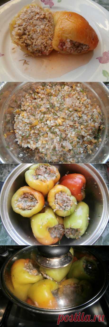 Перец, фаршированный мясом и гречкой | Блог Лены Радовой