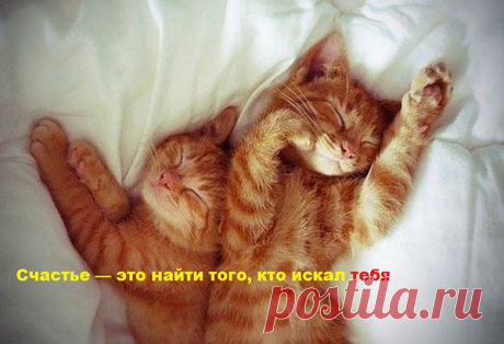 Вторая половинка