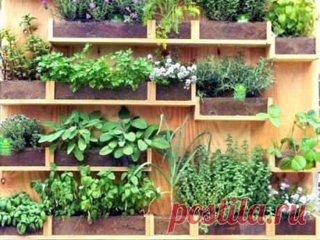 Как бесподобно оформить участок, используя деревянные доски и поленья