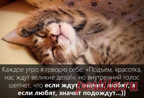 Если у человека есть мечта — это уже большая часть дела. Потому что мечта — это огромный магнит, который притягивает все обстоятельства, необходимые для ее осуществления...