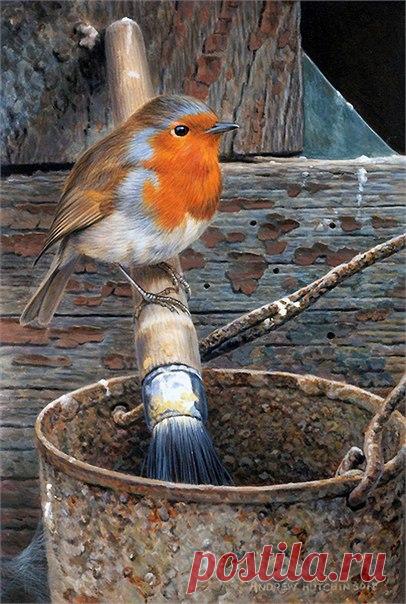 Птицы. Художник ANDREW HUTCHINSON.
Декупаж коллаж. Decoupage collage.
#дизайн #для_декупажа #картинки_для_творчества #декупаж #декор