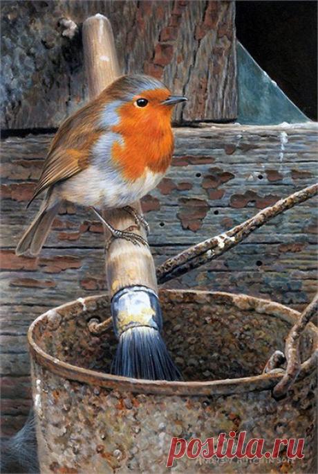 Птицы. Художник ANDREW HUTCHINSON.
Декупаж коллаж. Decoupage collage.
#дизайн #для_декупажа #картинки_для_творчества #декупаж #декор