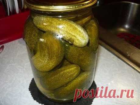 ОГУРЦЫ ИЗ ПОД КРАНА