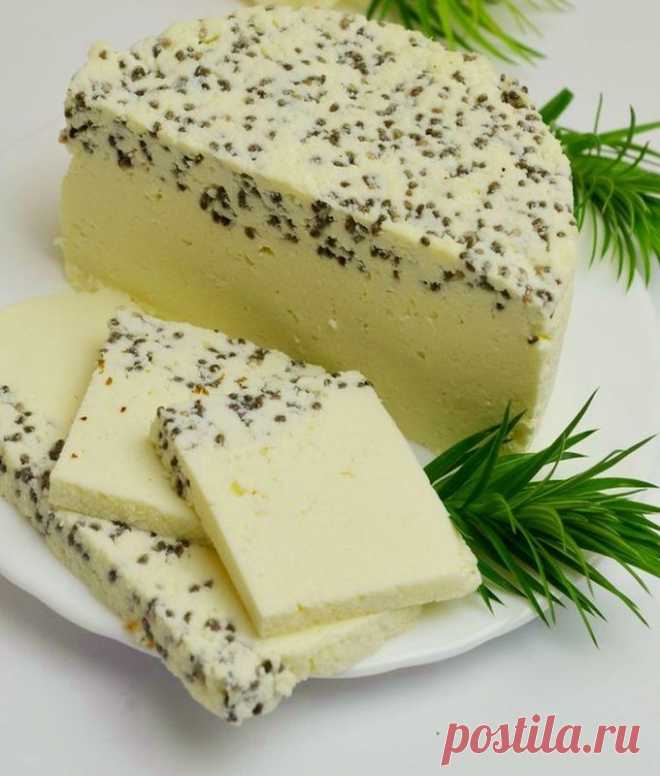 Домашний сыр из молока, сметаны и чиа пошаговый рецепт с фото - Нямбург.ру
