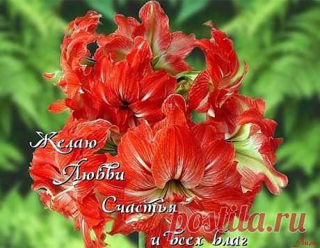 getImage&gt;https://img-fotki.yandex.ru/get/3811/nefela-s.14/0_2cc1c_7992aaed_L.jpg (621×480)