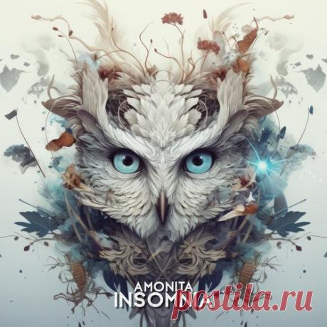Amonita - Insomnia free download mp3 music 320kbps