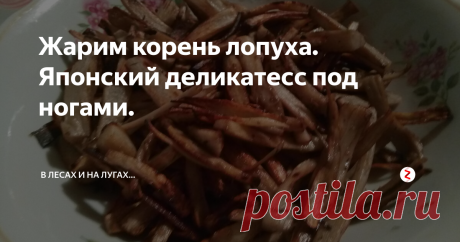 Жарим корень лопуха. Японский деликатесс под ногами. Вот и пришла долгожданная пора, когда можно накопать корней лопуха. За этим делом я отправился в район заброшенных ферм.
Нравится мне это место. Не видами конечно - они удручают, отсылая мои воспоминания в далёкие студенческие годы, когда нас сюда привозили работать и на экскурсии.
А нравятся мне окрестности ферм разнообразием растительности, которую в лесах и на лугах редко встретишь в таком коли
