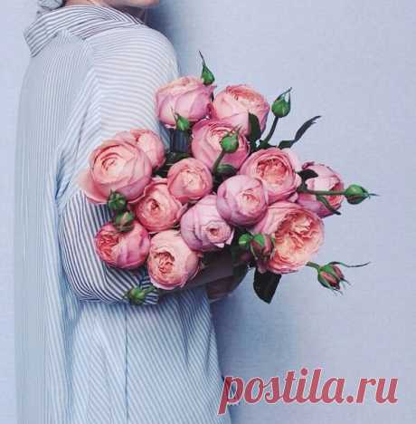 Я долго шла, чтобы обрести спокойствие, исцелиться от боли прошлого. Обошла много городов, священных мест, узнала сотни людей. Но все оказалось просто: чтобы получить желаемое, нужно было остановиться. Обратиться в себя и увидеть то, что так рьяно искала. Я забросила сад внутри себя, перестала заботиться о цветах, суматошно гоняясь за бабочками. Эльчин Сафарли. Я хочу домой #любовь #красота #мысли #цитаты