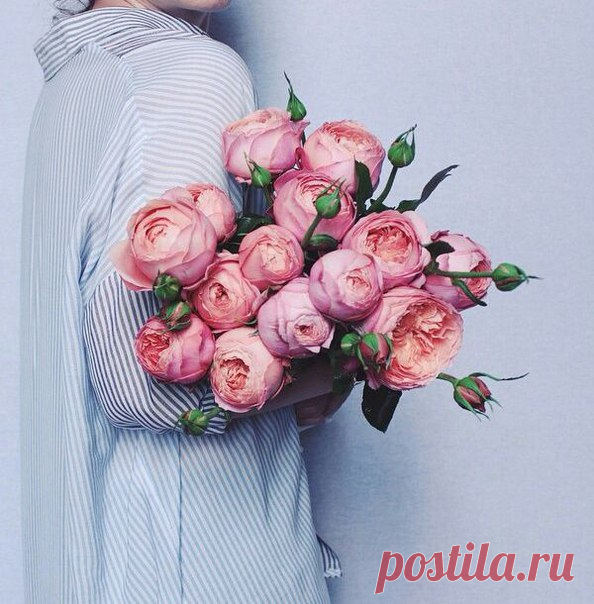 Я долго шла, чтобы обрести спокойствие, исцелиться от боли прошлого. Обошла много городов, священных мест, узнала сотни людей. Но все оказалось просто: чтобы получить желаемое, нужно было остановиться. Обратиться в себя и увидеть то, что так рьяно искала. Я забросила сад внутри себя, перестала заботиться о цветах, суматошно гоняясь за бабочками. Эльчин Сафарли. Я хочу домой #любовь #красота #мысли #цитаты