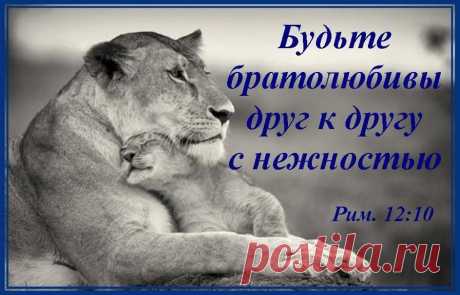 Жемчужины слова Божьего#
