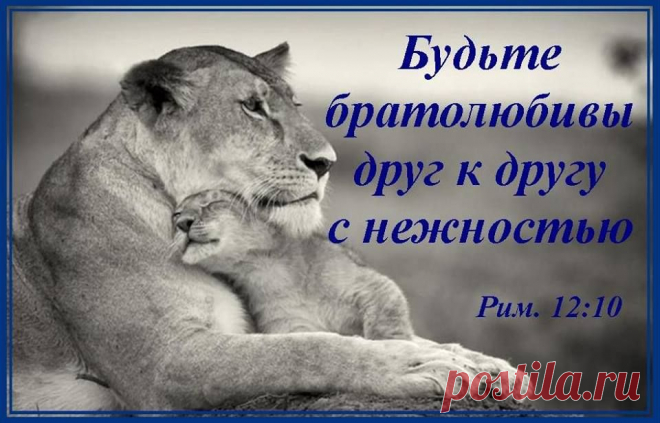 Жемчужины слова Божьего#