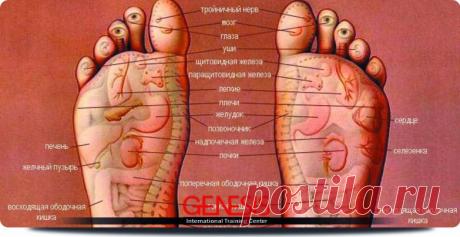 СЕКРЕТЫ НАШИХ СТОП!!! Рефлексологи рассматривают подошву стопы как карту человеческого тела. Они считают, что она разделена на различные области, или рефлекторные зоны, которые напрямую связаны с определенными органами или структурами, например позвоночником, конечностями, головой, внутренними органами.