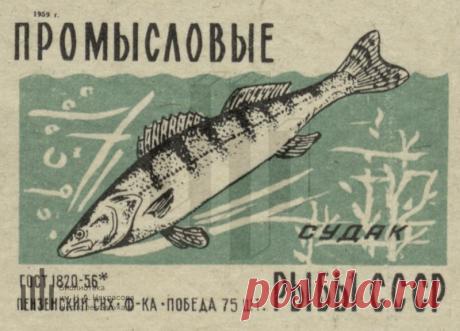 Судак