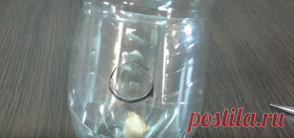 Удивительно простая мышеловка из бутылки | САМОДЕЛКИ СВОИМИ РУКАМИ | Яндекс Дзен