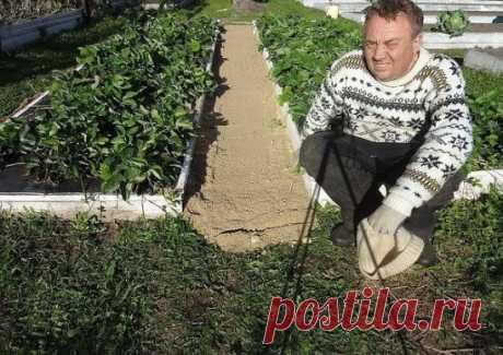 Как сделать, чтобы в проходах между грядками трава не росла 
Совет от Игоря Лядова 
Читайте на сайте: https://nampolezno.ru/kak-sdelat-chtoby-v-proxodax.html