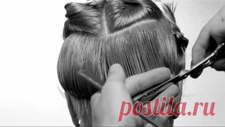 womens haircut 1 (dirty)
