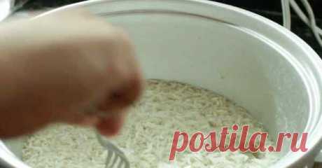 Всю жизнь неправильно готовила рис. После ознакомления с этим текстом вы тоже передумаете | Как то так | Яндекс Дзен