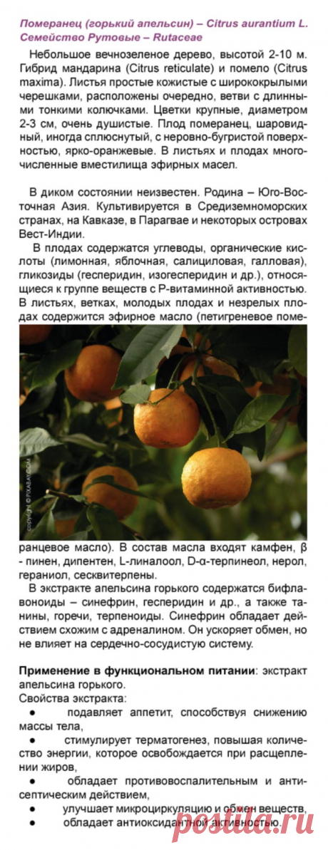 Апельсин горький (померанец) в функциональном питании