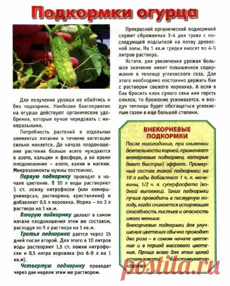 Подкормки огурца
 ПОДКОРМКИ ОВОЩЕЙ