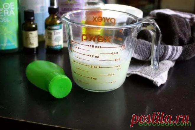 Cómo hacer champú natural, sin químicos y sin sulfatos 2021