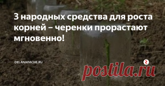 3 народных средства для роста корней – черенки прорастают мгновенно! Вовсе необязательно применять химические препараты, чтобы ускорить образование корешков у черенков. Существуют народные методы, которые действуют ничуть не хуже. Но, что важно, средства абсолютно безопасны!
1. Раствор из цветочного меда
Мед содержит около 35-ти полезных веществ. Представляете, как они благотворно будут действовать на черенки? Во-первых, окажут противомикробное действие. Во-вторых,