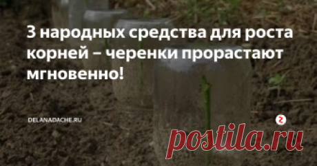 3 народных средства для роста корней – черенки прорастают мгновенно! Вовсе необязательно применять химические препараты, чтобы ускорить образование корешков у черенков. Существуют народные методы, которые действуют ничуть не хуже. Но, что важно, средства абсолютно безопасны!
1. Раствор из цветочного меда
Мед содержит около 35-ти полезных веществ. Представляете, как они благотворно будут действовать на черенки? Во-первых, окажут противомикробное действие. Во-вторых,