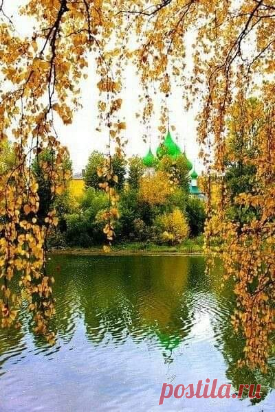 (6) Facebook