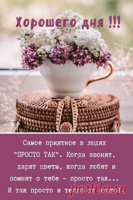 мудрость дня март: 1 тыс изображений найдено в Яндекс Картинках