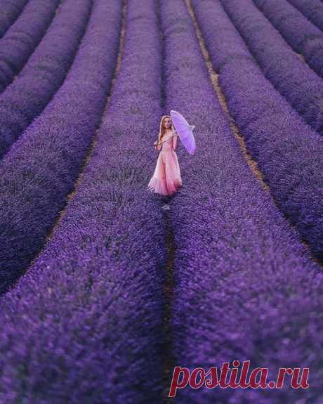 mara mara - Google+