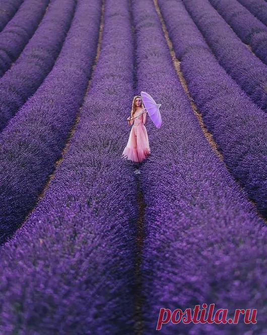 mara mara - Google+
