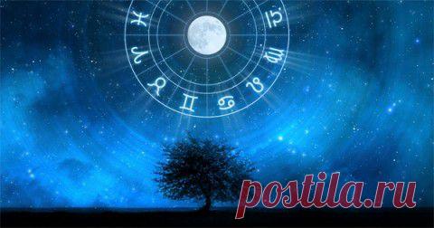 День недели, когда ты родился, влияет на характер не меньше, чем дата