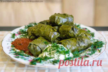 Долма — самый простой «мужской» рецепт — Готовим дома