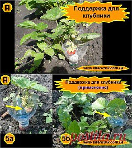Поддержка для клубники | Творим После Работы